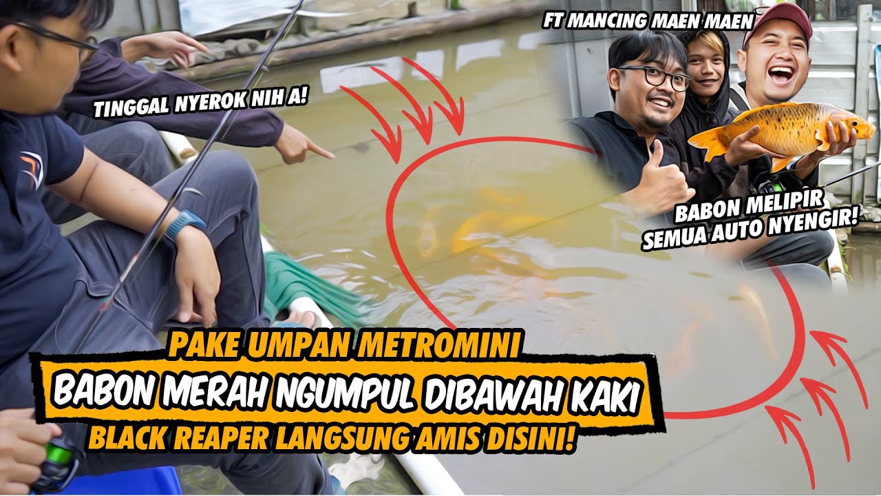 UMPAN AMPUH BIKIN KOJA PENUH! SATU LEMPARAN SATU BABON MERAH TERSELAMATKAN! GALATRIK KABAYAN FISHING