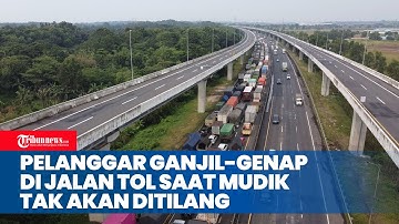 Pelanggar Ganjil-Genap di Jalan Tol Saat Mudik Tak Akan Ditilang Tapi Ada Sanksi Lainnya