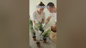 Finding Happiness in Simplicity Embracing True Wealth