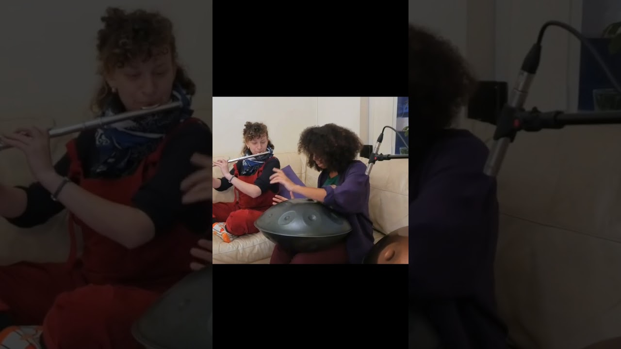 Toxic - Handpan Flute
