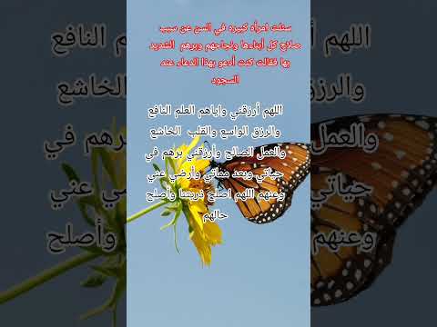 سر صلاح الأبناء 