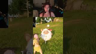 KILLING PALS???? Palworld  #cozygaming #gaming #palworld #letsplay #funny #cozy