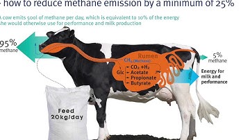 Methane Emissions: problem and possible solutions