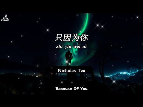 只因为你 Zhi Yin Wei Ni Nicholas Teo Because Of You Lyrics Translation 