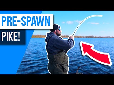Lake Fishing for Pre-Spawn PIKE!