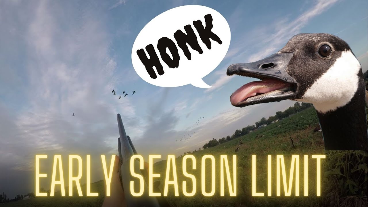 OHIO EARLY SEASON Goose Hunt 7 Man LIMIT in 40 Minutes YouTube