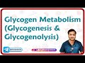 Glycogen Metabolism (Glycogenesis &amp; Glycogenolysis)