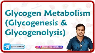 Glycogen Metabolism (Glycogenesis & Glycogenolysis)