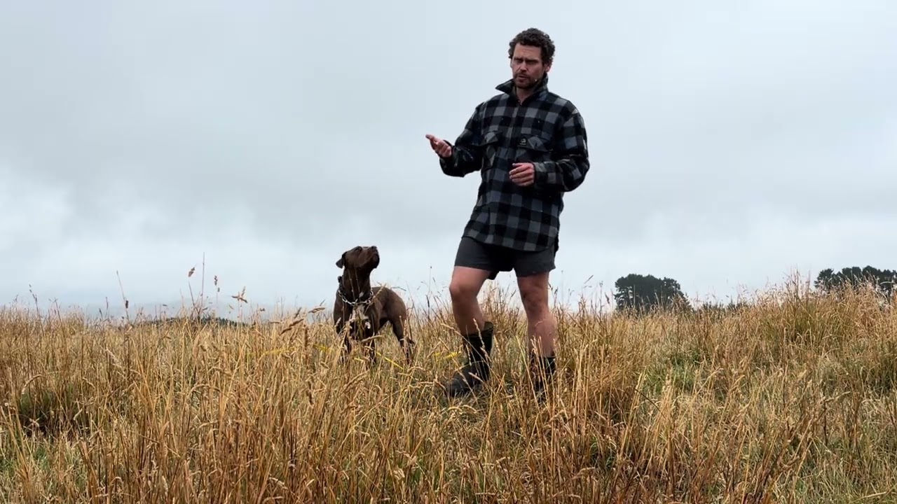 Problem solving recall issues. Part 1 