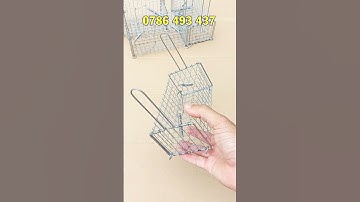 Lồng bẫy chuột đường mòn không mồi 2 cửa vào giao toàn quốc