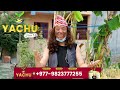 Gu aayo prank | alish rai new prank | new nepali prank | alish rai | alish rai gu aayo prank | Mp3 Song