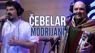 MODRIJANI - Čebelar