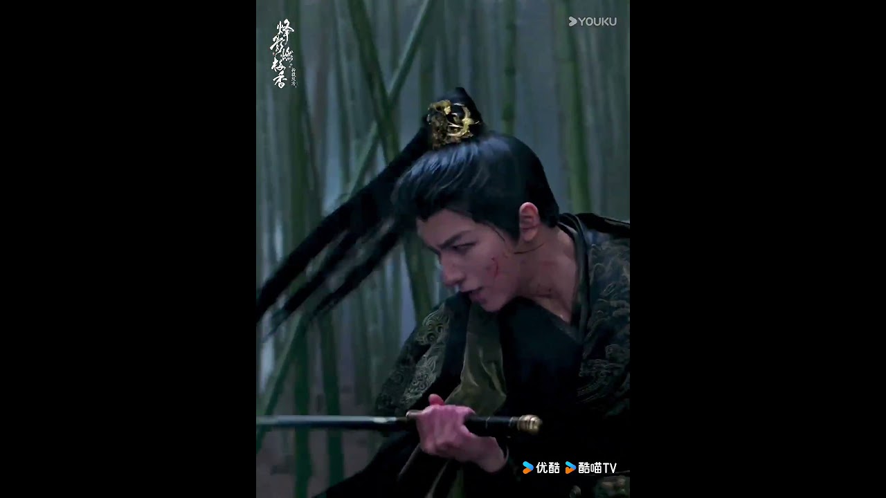 😎 | Hidden Shadow | 烽影燃梅香 | YOUKU