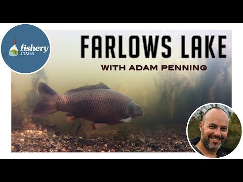 Fishery - Farlows Lake with Adam Penning