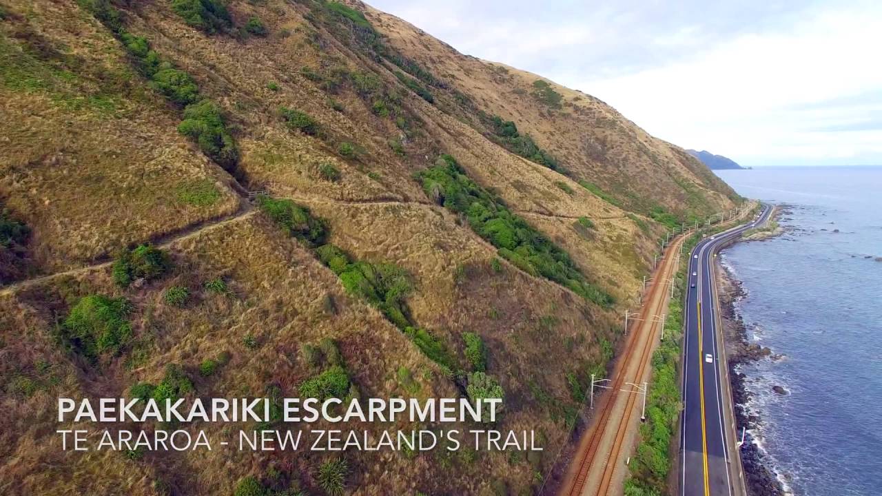 paekakariki escarpment track youtube