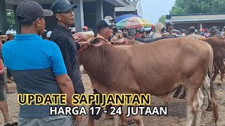 Download Lagu UPDATE HARGA SAPI  JANTAN DI PASAR HEWAN WONOASIH HAR SABTU 8 NOV - HARGA 17 - 24 JUTA RUPIAH MP3