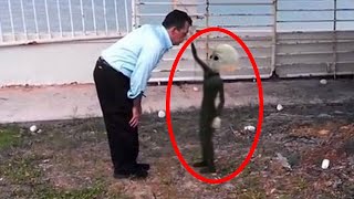 5 Aliens Caught On Camera ♦️ Proof Of Aliens?