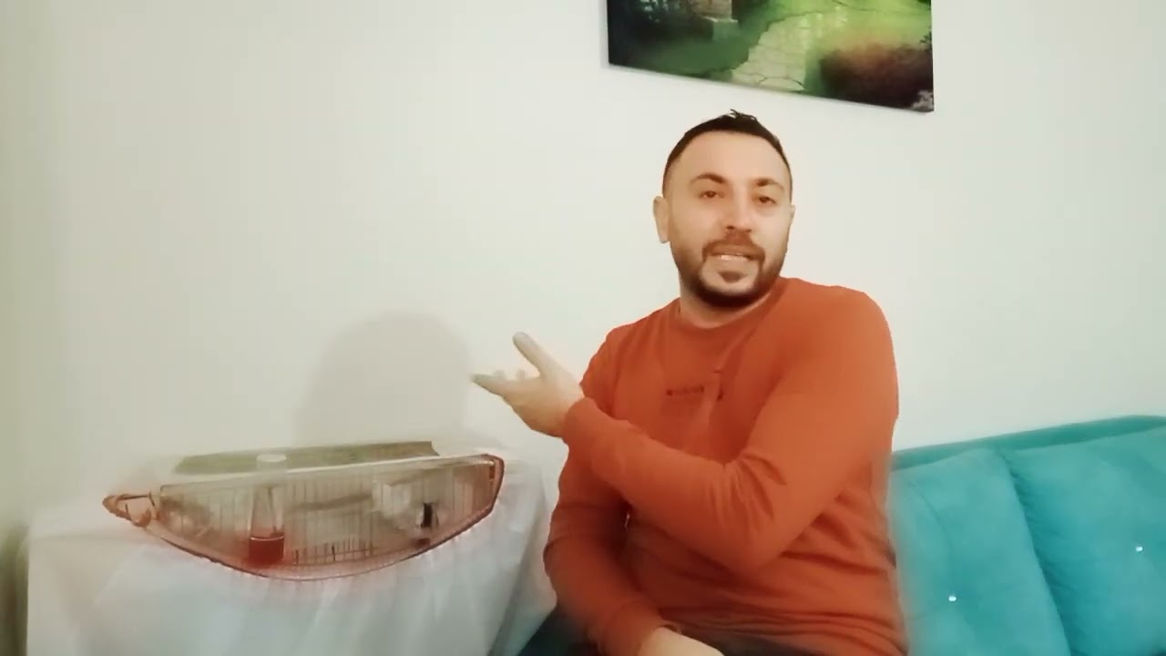 BENGAL İSPİNOZU YAVRULARI NE ZAMAN YEME DÜŞER VE NE ZAMAN AYIRMALIYIZ