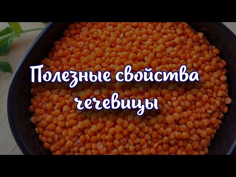 Полезные свойства чечевицы.