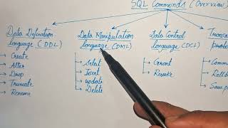 SQL Commands Full Tutorial 🚀 | DDL vs DML vs DCL vs TCL + Constraints with Examples | DBMS Basics