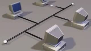 Network topology