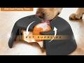 🥣 Genius Slow Feeder Bowl for Liquid Treats & Bone Broth!