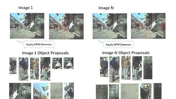 Object Co-Detection via Efficient Inference in a Fully-Connected CRF