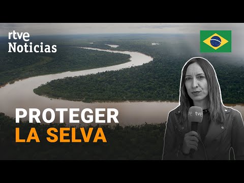 AMAZONAS: La MINERÍA