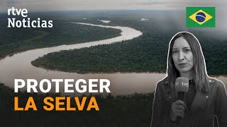AMAZONAS: La MINERÍA y la GANADERIA ILEGAL están IMPULSANDO su DEFORESTACIÓN | RTVE Noticias