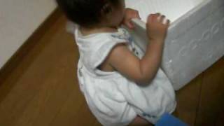 20090806