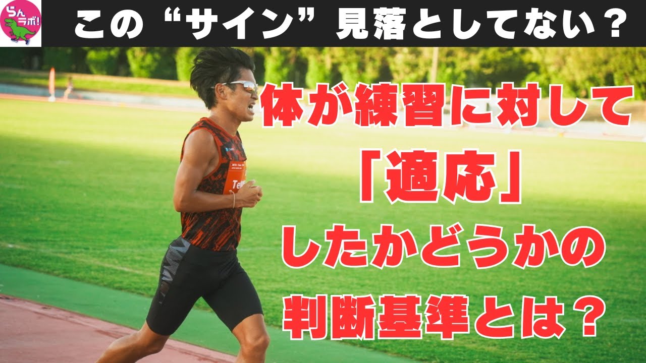 体が適応しているかしていないかの判断基準とは？