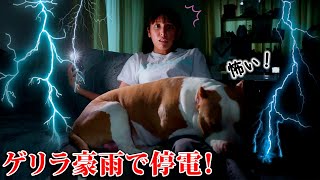 The thunder and rain are terrible❗️A sudden downpour caused a