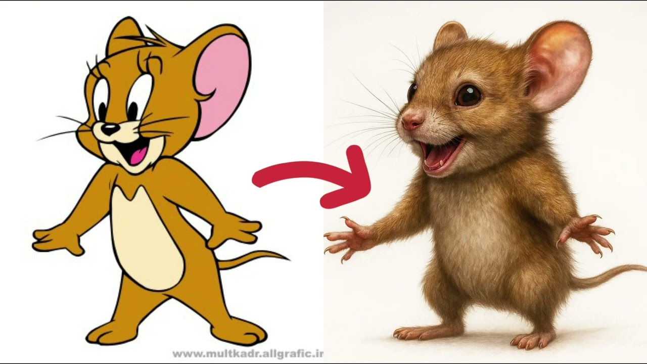 Tom & Jerry in REAL LIFE?! The Chase Begins Again! 🐱🐭💥 Том и Джерри в РЕАЛЬНОЙ жизни?!