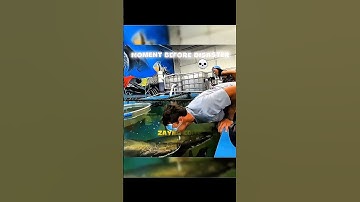 DONT CLICK THE SOUND🤫| #shorts #trollface #edit #viral