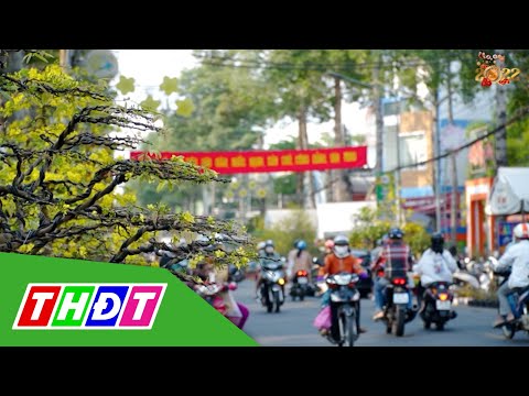 Video Bức tranh đa sắc màu về 
