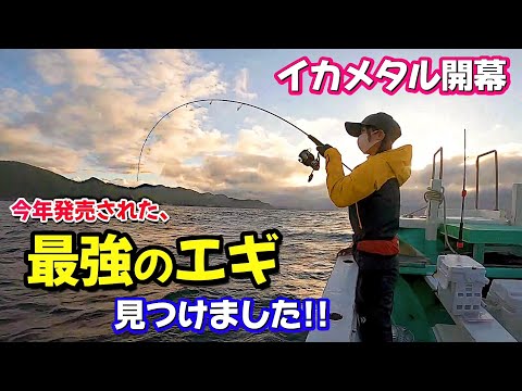 Egibow エギボー　イカメタル　オモリグ Amazon | キザクラ(kizakura) エギボー イカメタルリーダー 緩潮