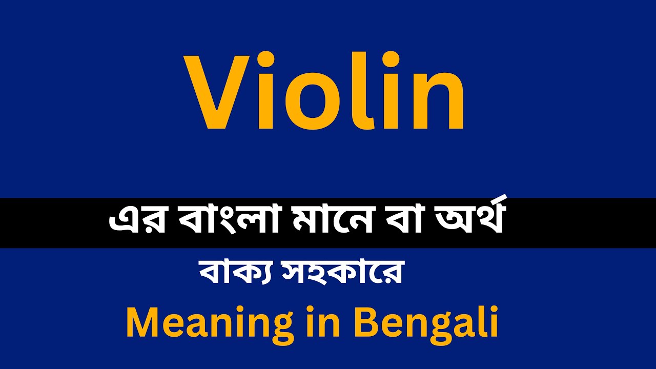Violin meaning in bengali/Violin শব্দের বাংলা ভাষায় অর্থ অথবা মানে কি