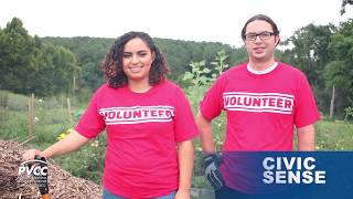 Celebrity PVCC Quality Enhancement Plan (QEP) - Civic Sense Launch Promo Net Worth