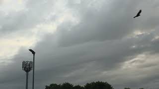 Solar Eclipse 2026 Glasgow, Scotland – 4K Time-Lapse (91% Peak Obscuration)
