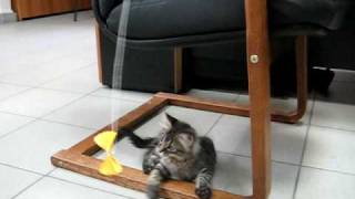 MVI_2971.AVI