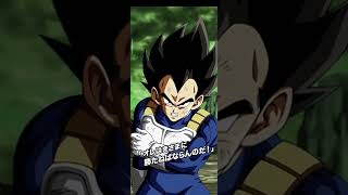 4K Phy Lr Blue Kaioken Goku And Blue Evolution Vegeta Animations