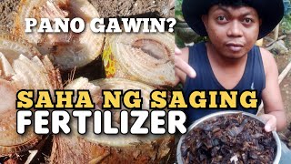 Download Lagu MASUSTANSYANG PATABA MULA SA KATAWAN NG SAGING- SAHA MP3