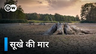 हम सूखते खेतों को कैसे बचा सकते हैं? [Drought crisis in agriculture?] | DW Documentary हिन्दी