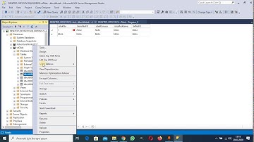 MSSQL - 2 Örnek Veritabanı (vtDilek)