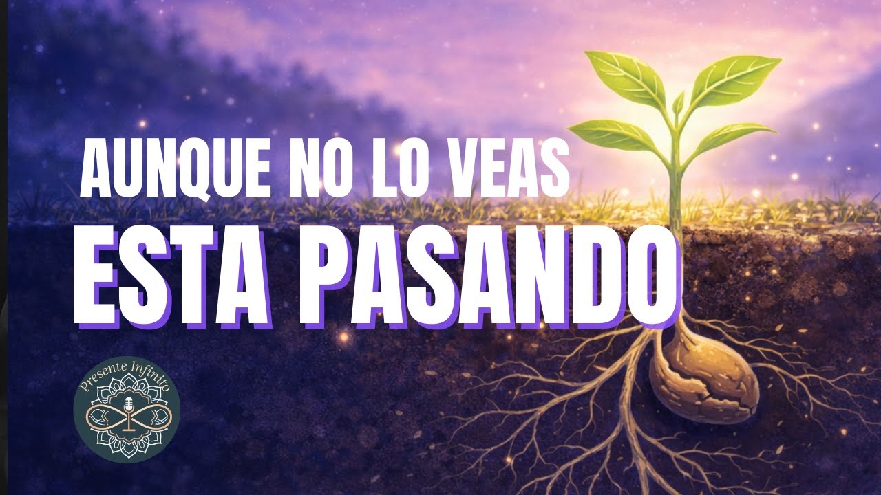 Confía en el proceso 🧘Meditación guiada para soltar el control - YouTube