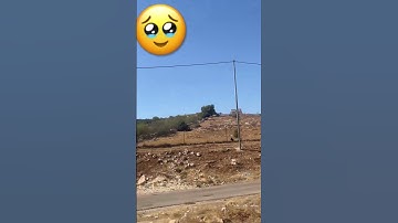 #إسلام_صبحي #اكسبلور #القزابري #duet #دويتو #yasseraldossary #تلاوة_خاشعة #لايك #المراه #تيك_توك