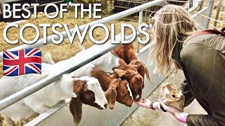 SUMMER IN THE COTSWOLDS | Gloucester Cathedral & Cotswold Farm Park by Out of Town Browns 527 views 4 years ago 9 minutes, 33 seconds