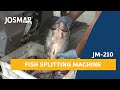 JOSMAR: JM-210 Fish Splitting & Gutting Machine | Abridora & Evisceradora de pescado