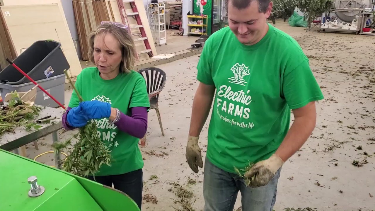 BUDZ STRIPPER by NEF Manufacturing will buck the BUD off your STALK 