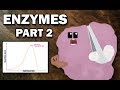 Enzyme Activity Quiz